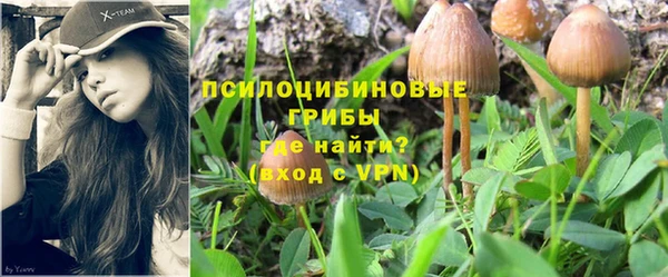 экстази Туринск